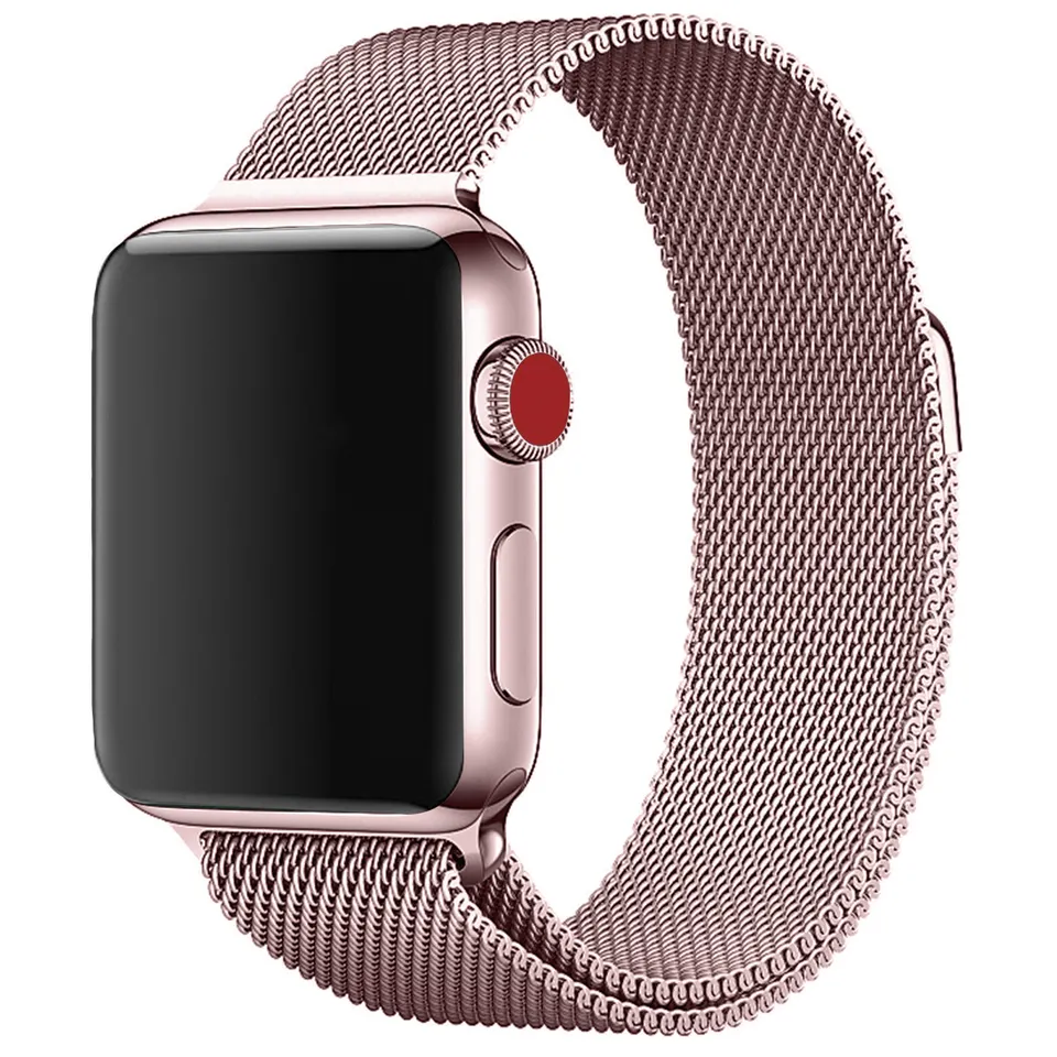 Apple Watch Milanese Band