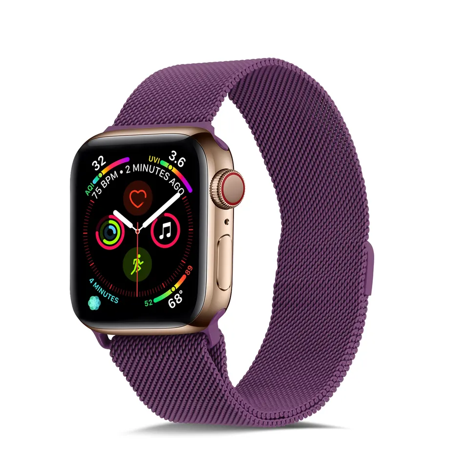 Apple Watch Milanese Band